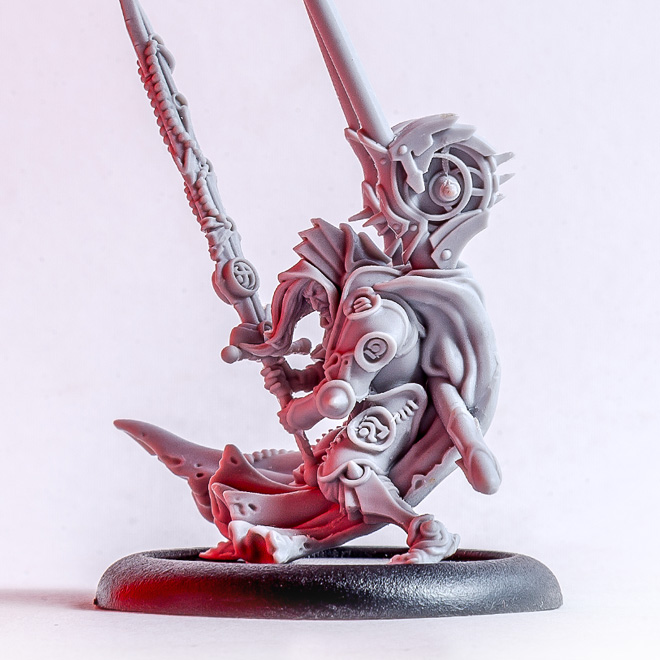 taquail_miniature